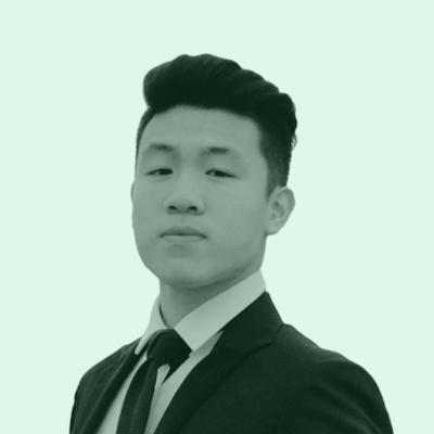 Phi Long Bui