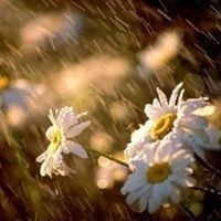 Zehra Betül Boynueğri