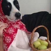 Ana Paula Vera Ayala