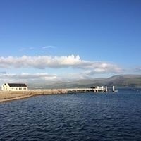 Silvia Ghearasamescu