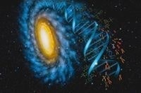 صهيب الأنصاري