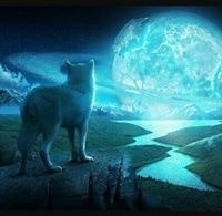 Juan Diego Naranjo Arias