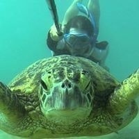 Mauricio Javier Vargas Ríos