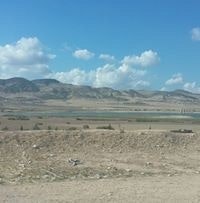 خيري السيوري