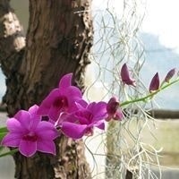 Malgorzata Winkowska