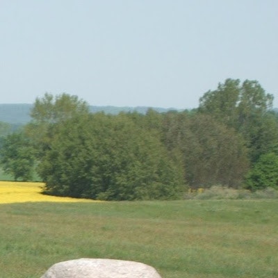 Dominik Jastrzębski