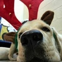 Josue Raul Motta Tzaquitzal