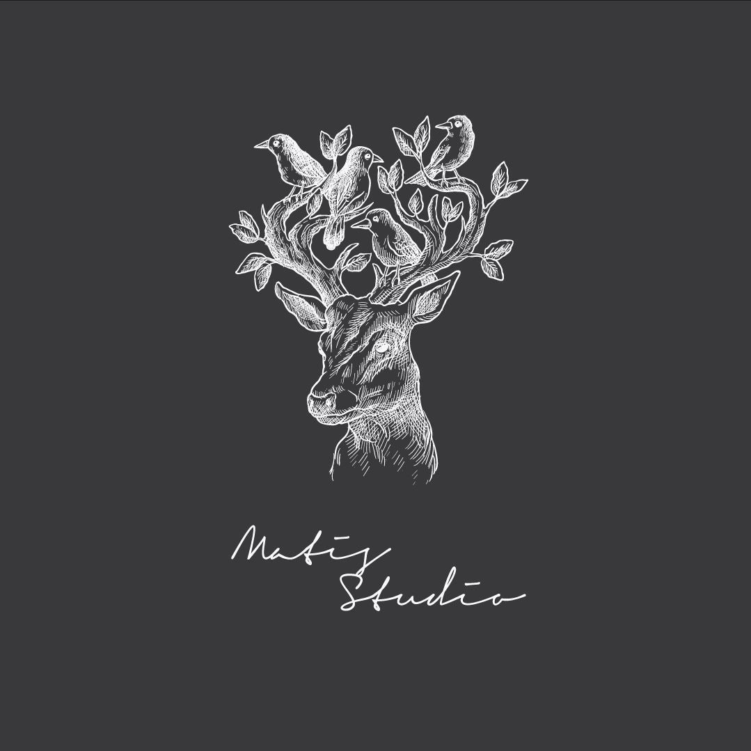 Matis Studio