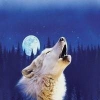 Виталий Ревенко