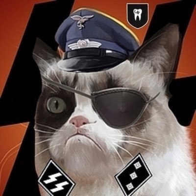 Racist🐈Cat🐈Lady