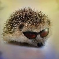 Константин Кулабухов