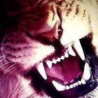 Сергей Серг