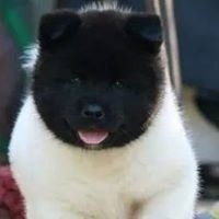 Вячеслав Иванов