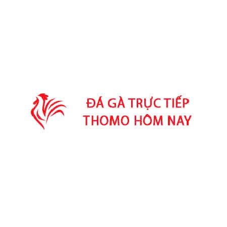 Đá Gà Trực Tiếp Thomo Hôm Nay