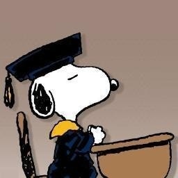 Петко не Станко