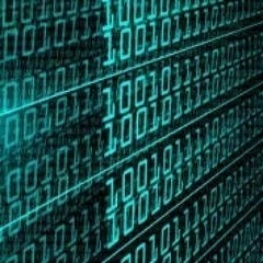 Пичурин Мајчин