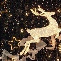 Biljana Cameva Jovanovska