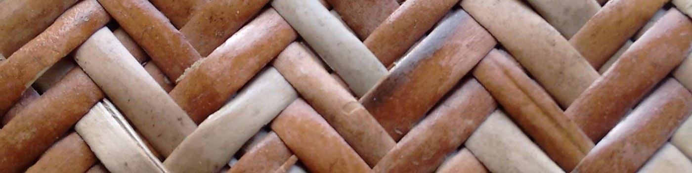 Sushma Udipi Nagendran