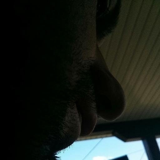 Лажен профил