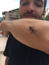 Мартин Петревски