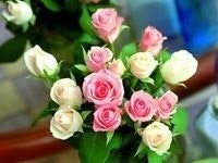 Yusuf Omokayode Daniju