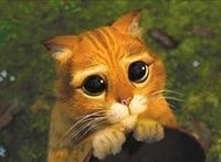 Miguel Molins Jiménez