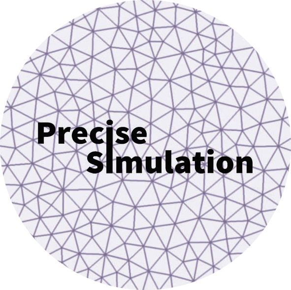 Precise Simulation