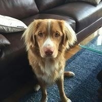 Mikael Larsen Ørnfjord