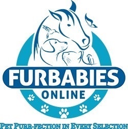 Furbabies Online