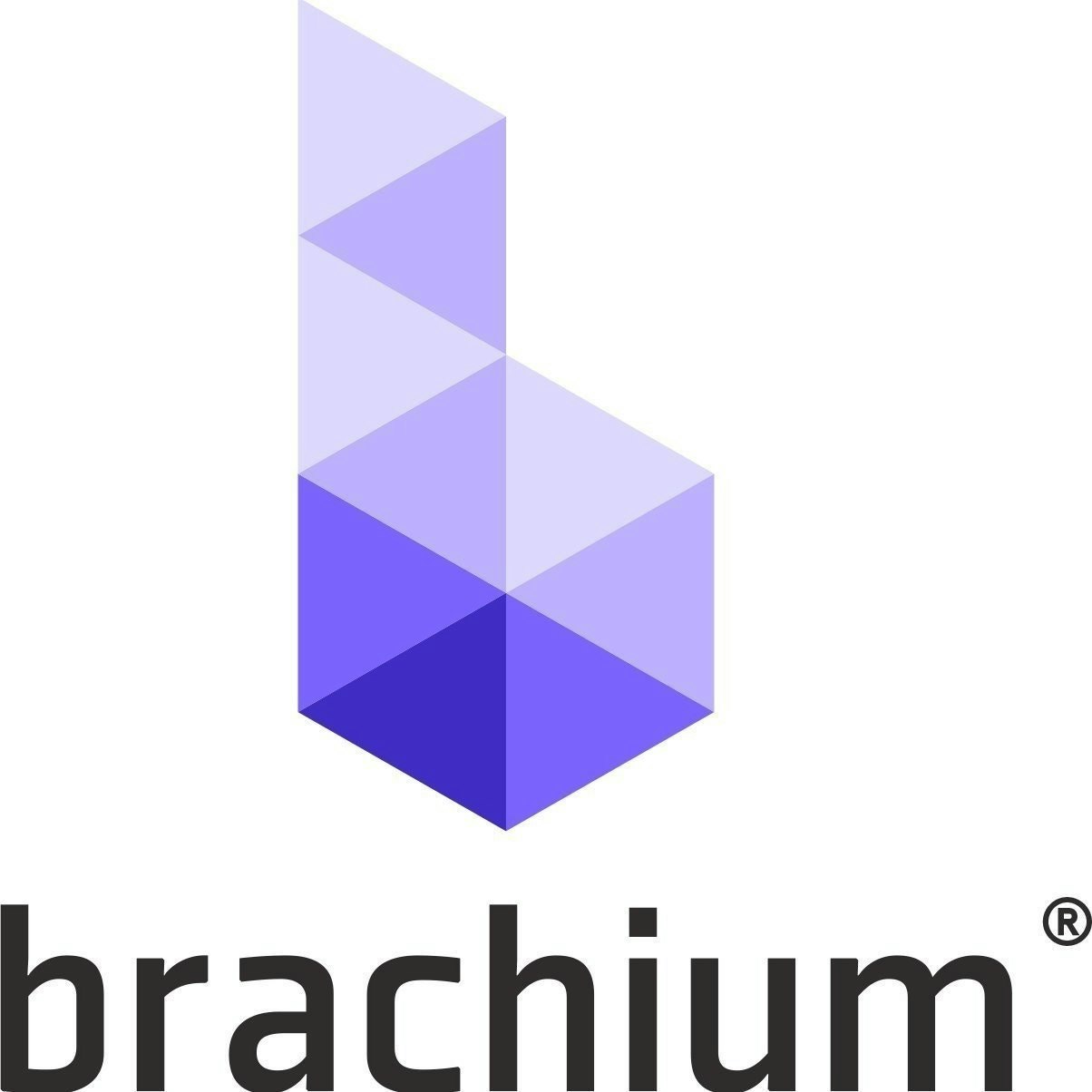 BrachiumInc
