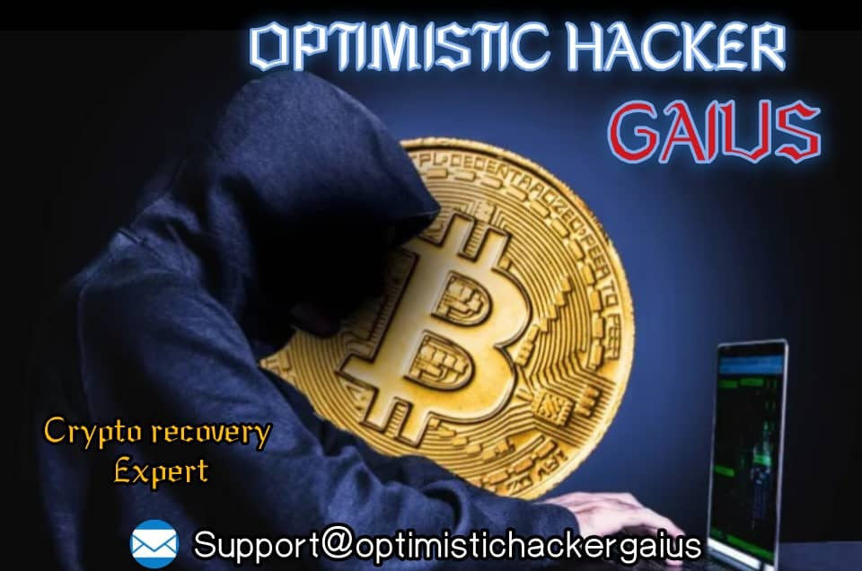 Book OPTIMISTIC HACKER GAIUS 