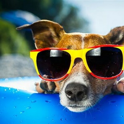 Albertino Cappuccino