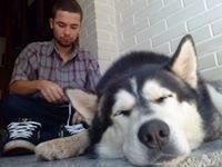 Aleksandar Veljanoski