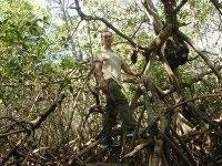 Jairo Del Cid Parras