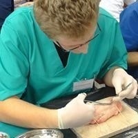 Suflea Claudiu-Alexandru