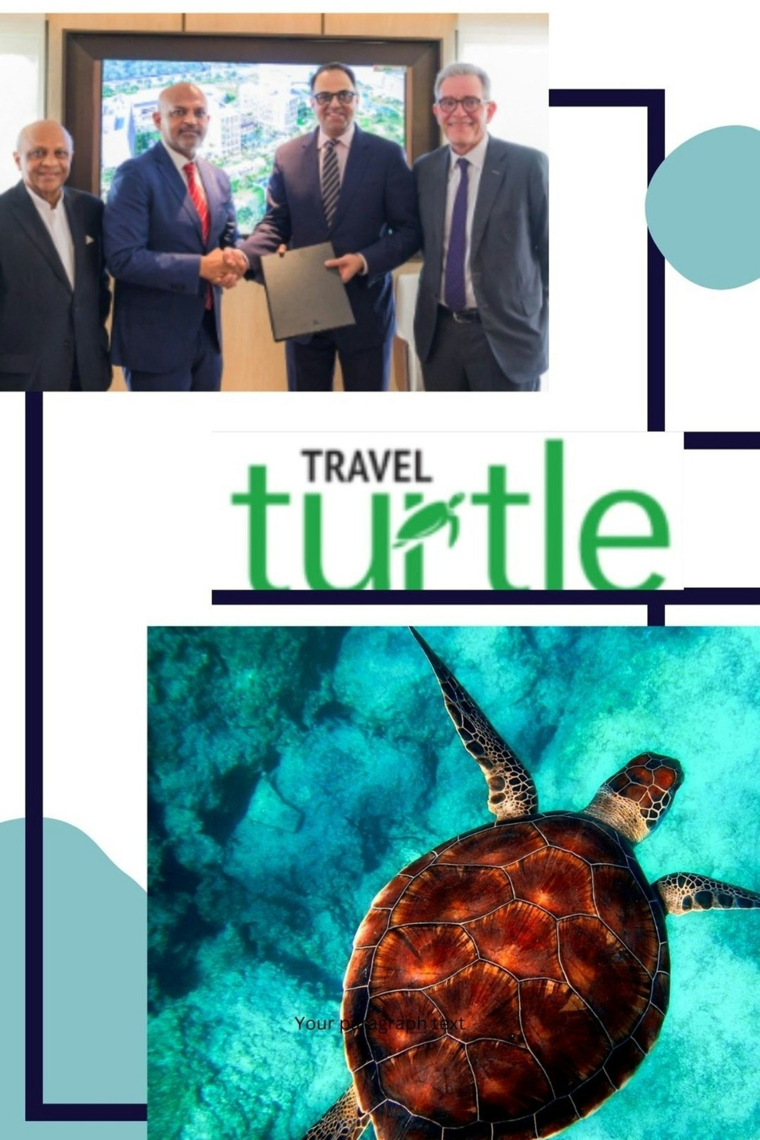Travel Turtle