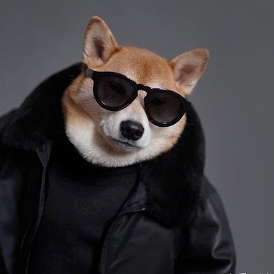 ProductHunt profile picture for @mrcat