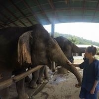 Yulia Shames Ostrovsky