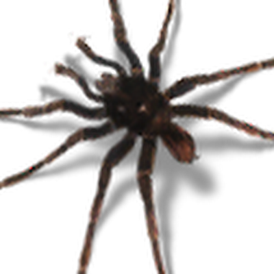 Дмитрий Васильев