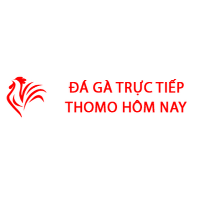 Đá Gà Trực Tiếp Thomo Hôm Nay
