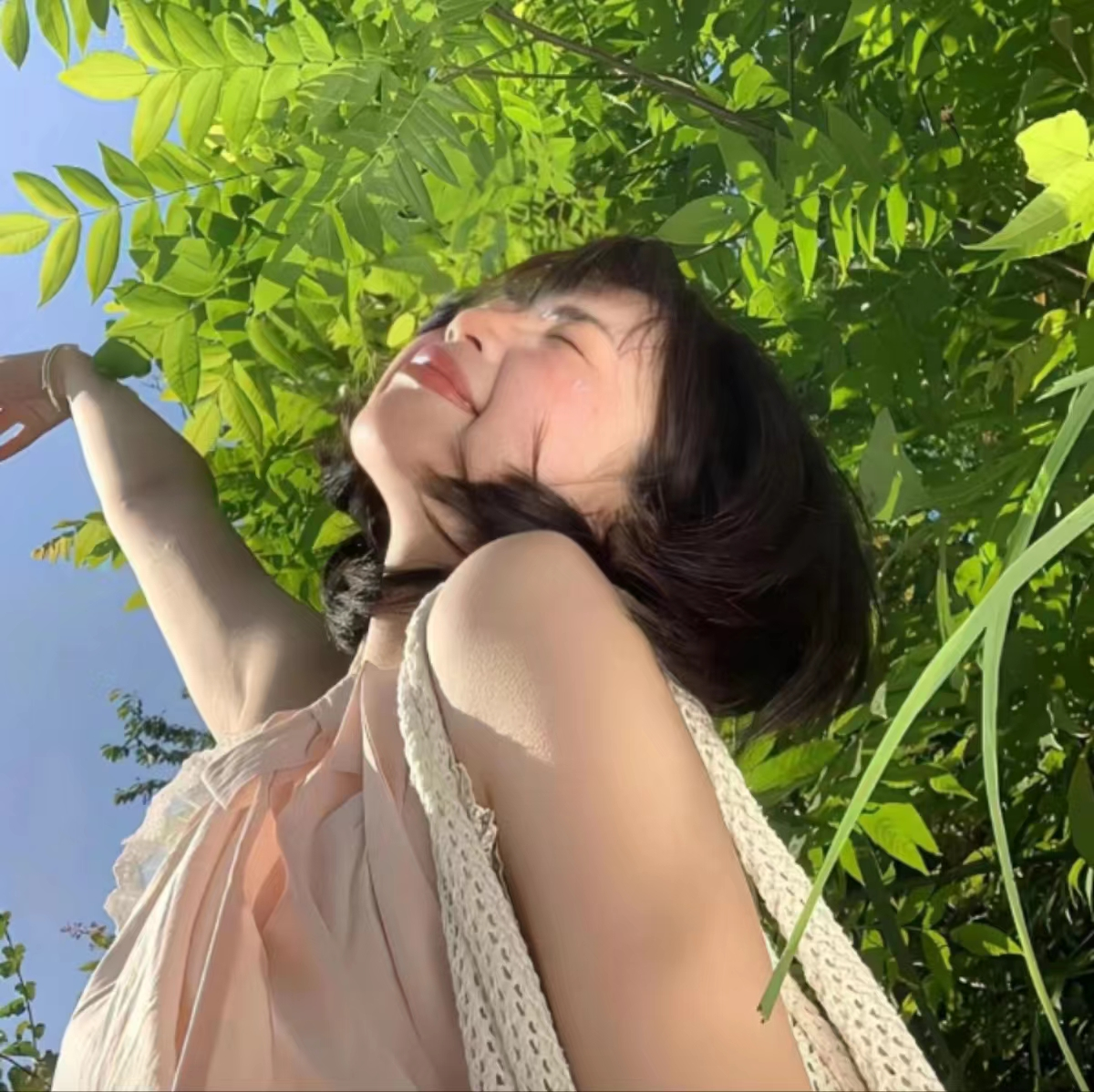 fanqie fan