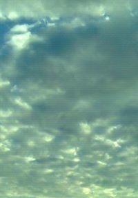 Ronaldo Pinzon Morales