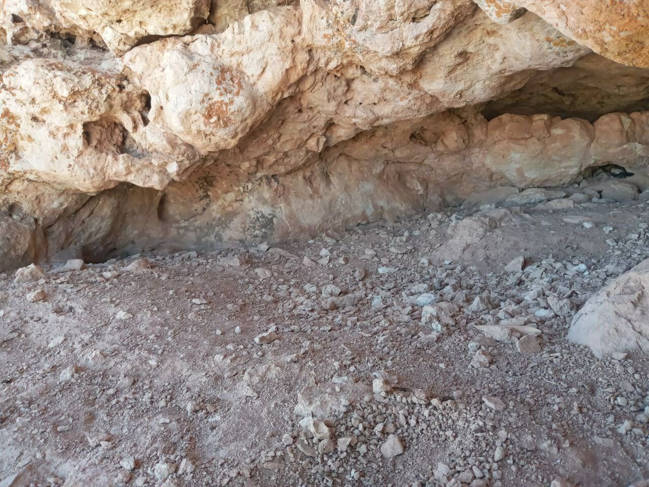 میثم ایرانی