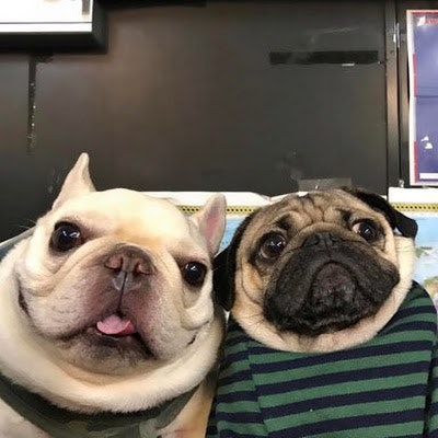 Carlo Patricio Montano Campillo