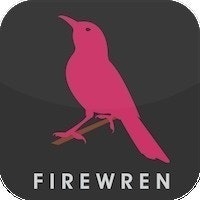 Firewren