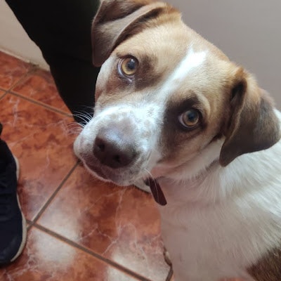 Pia Olazabal (Carito)