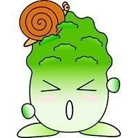curlychoi