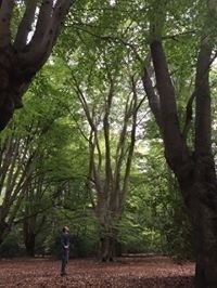 Konstantinos Tsitsas