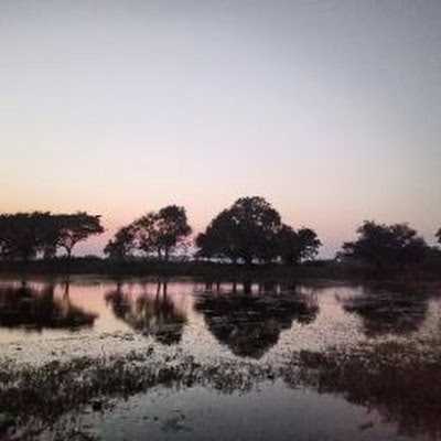 Pratyushkumar essential