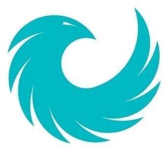 Phoenix Energy Group